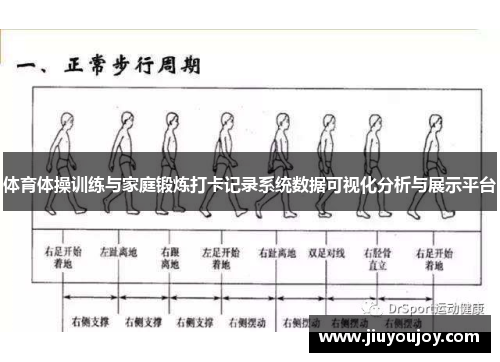 体育体操训练与家庭锻炼打卡记录系统数据可视化分析与展示平台