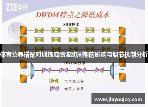 体育营养搭配对训练成绩波动周期的影响与调节机制分析